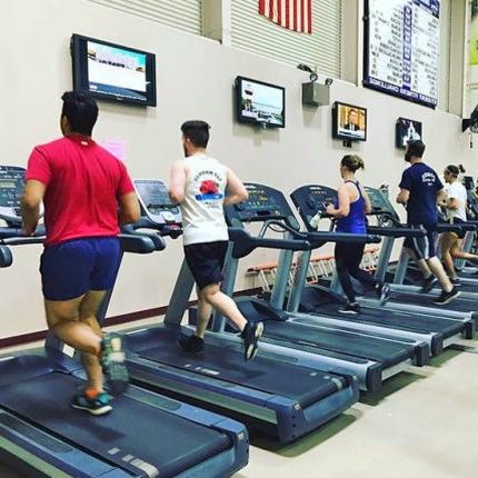 Five students using the treadmills in Finley Recreation Center